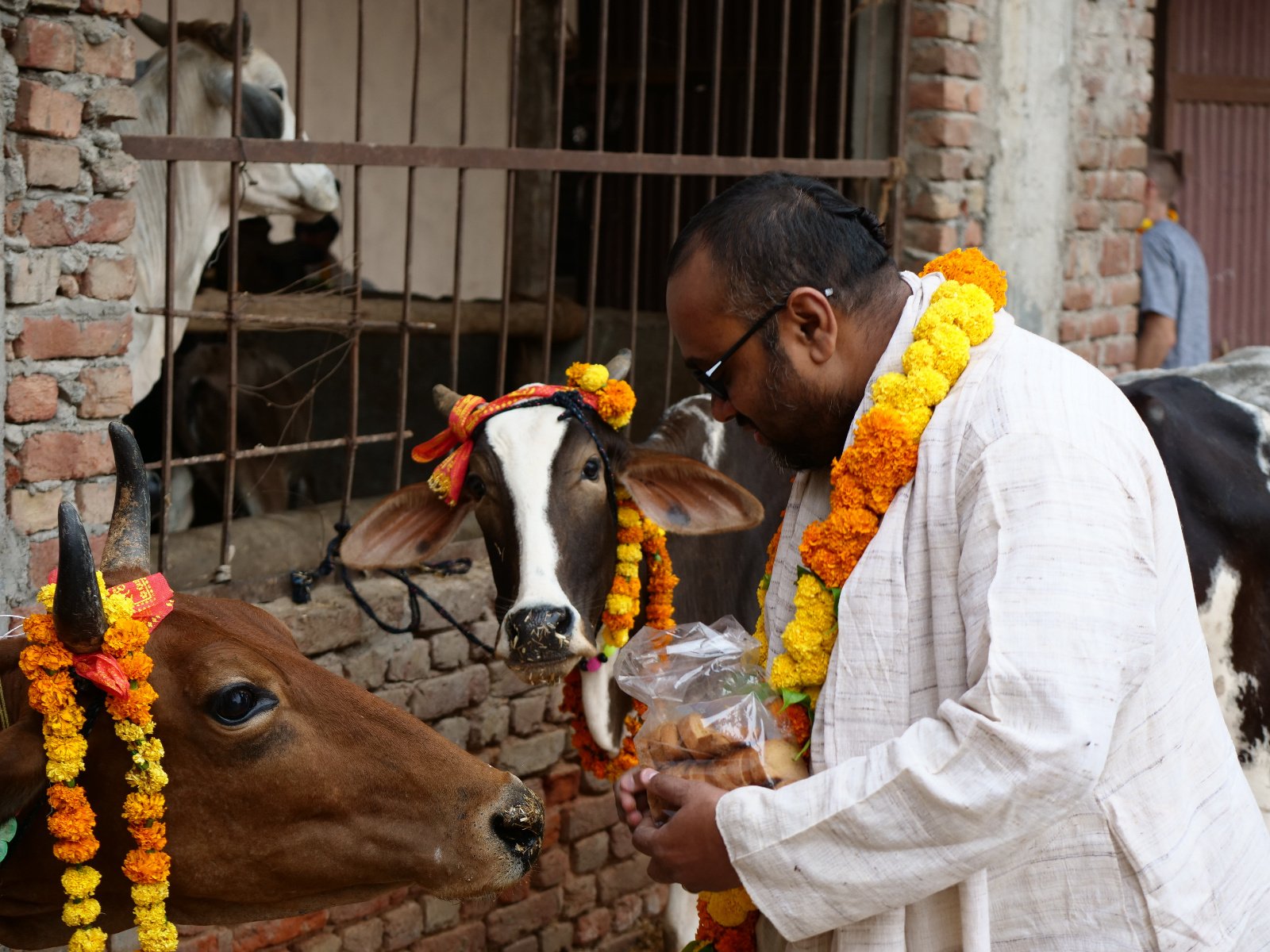  62 Gopashtami Radha kunda Govardhan 19.11.04